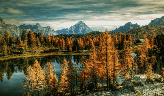 ピックアップ１